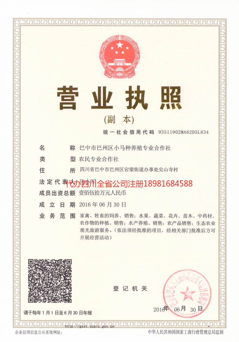 百色百色小马种养殖专业合作社